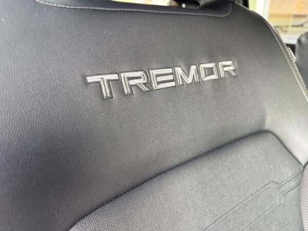 Ford Ranger 2.0 TD EcoBlue Tremor Auto 4WD Euro 6 (s/s) 4dr at 51th
