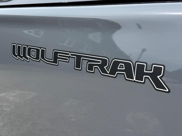 Ford Ranger 2.0 EcoBlue Wolftrak Pickup Double Cab 4dr Diesel Manual 4WD Euro 6 (s/s) (170 ps)