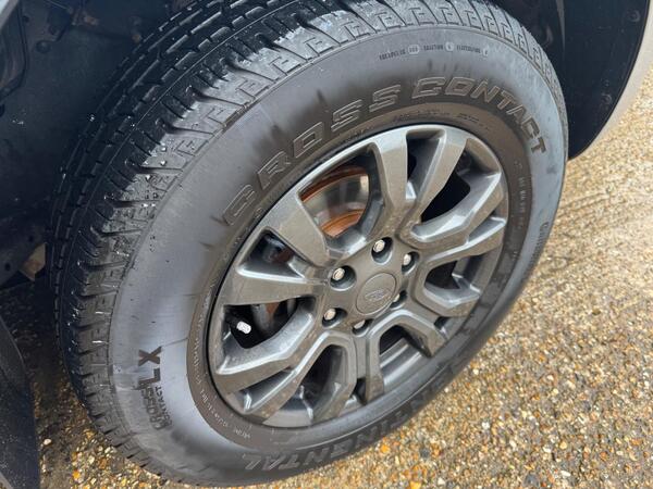Ford Ranger 2.0 EcoBlue Wildtrak Auto 4WD Euro 6 (s/s) 4dr