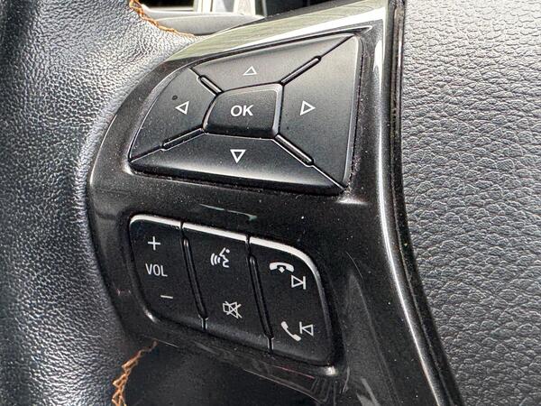 Ford Ranger 3.2 TDCi Wildtrak Auto 4WD Euro 6 (s/s) 4dr