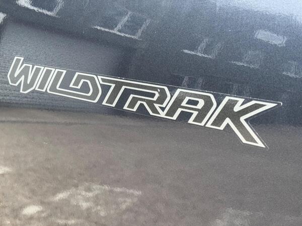 Ford Ranger 2.0 EcoBlue Wildtrak Pickup Double Cab 4dr Diesel Auto 4WD Euro 6 (s/s) (213 ps) at 50th