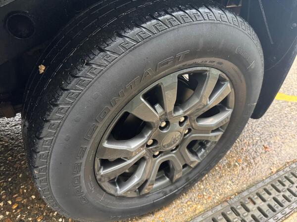 Ford Ranger 2.0 EcoBlue Wildtrak Auto 4WD Euro 6 (s/s) 4dr