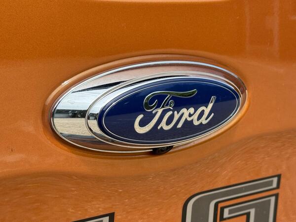 Ford Ranger 3.2 TDCi Wildtrak Auto 4WD Euro 6 (s/s) 4dr