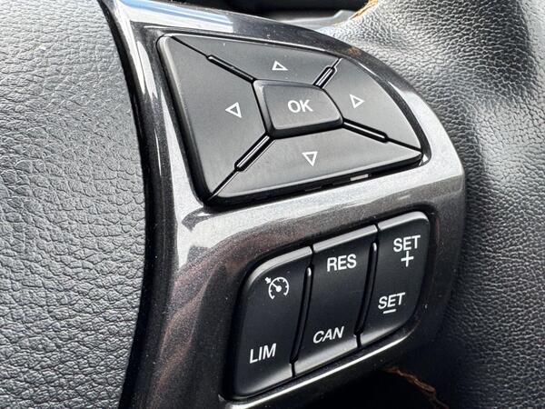 Ford Ranger 2.0 EcoBlue Wildtrak Auto 4WD Euro 6 (s/s) 4dr at 40th