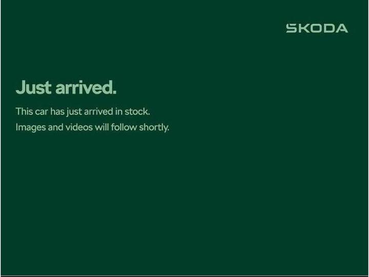 Skoda Karoq 1.5 TSI ACT SE L Edition DSG Euro 6 (s/s) 5dr