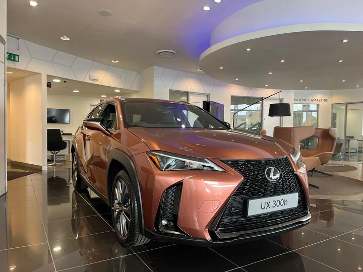 Lexus UX 2.0 300h F Sport Design E-CVT Euro 6 (s/s) 5dr