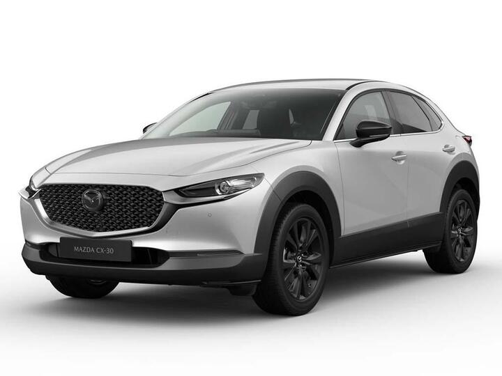 Mazda CX-30 2.5 E-SKYACTIV G MHEV Homura Euro 6 (s/s) 5dr