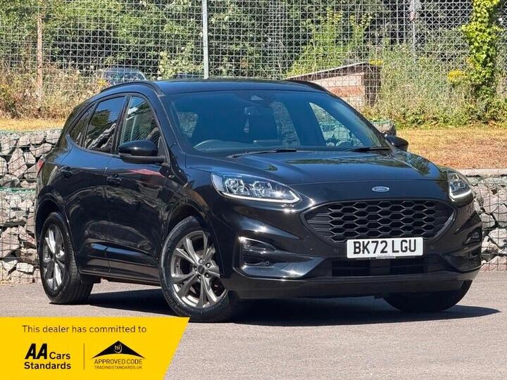 Ford Kuga 2.0 EcoBlue MHEV ST-Line Euro 6 (s/s) 5dr