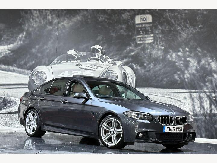 BMW 5 Series 3.0 530d M Sport Auto Euro 6 (s/s) 4dr