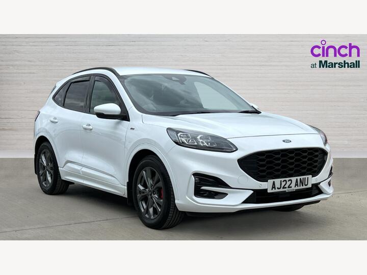 Ford Kuga 2.0 EcoBlue MHEV ST-Line Euro 6 (s/s) 5dr