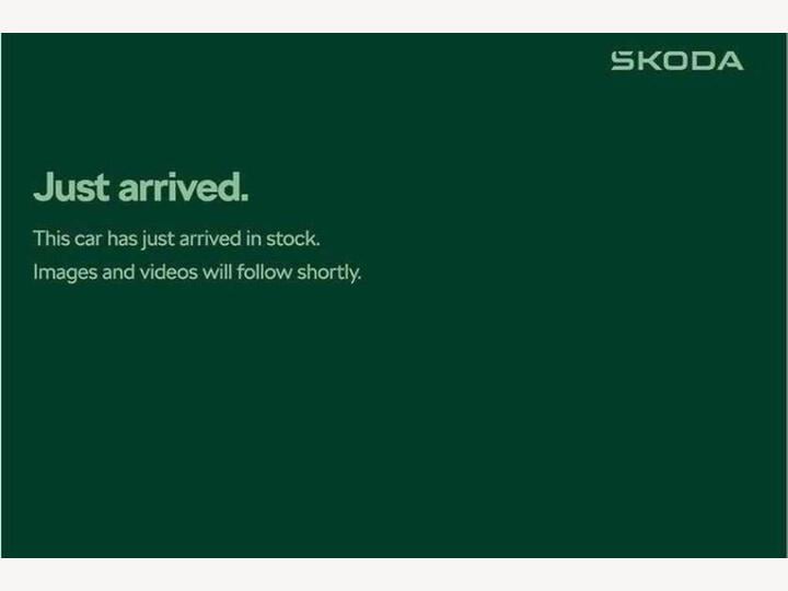 Skoda Karoq 1.5 TSI ACT SE L Euro 6 (s/s) 5dr