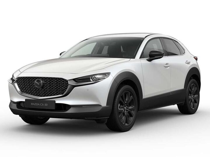 Mazda CX-30 2.5 E-SKYACTIV G MHEV Homura Auto Euro 6 (s/s) 5dr