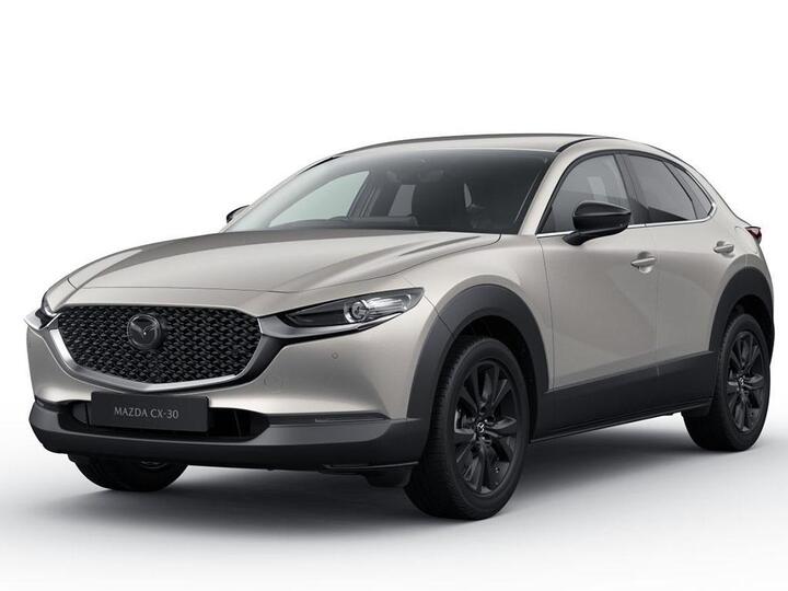Mazda CX-30 2.5 E-SKYACTIV G MHEV Homura Auto Euro 6 (s/s) 5dr