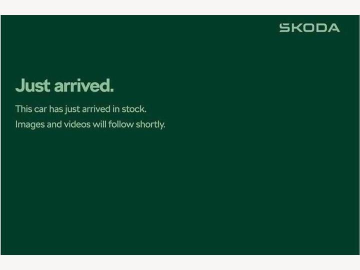 Skoda Fabia 1.0 TSI Monte Carlo Euro 6 (s/s) 5dr