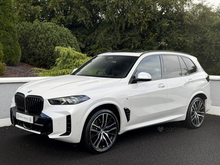 BMW X5 3.0 30d MHT M Sport Steptronic XDrive Euro 6 (s/s) 5dr