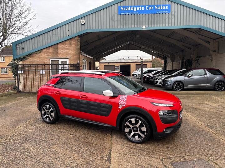 Citroen C4 Cactus 1.2 PureTech Rip Curl Euro 6 (s/s) 5dr