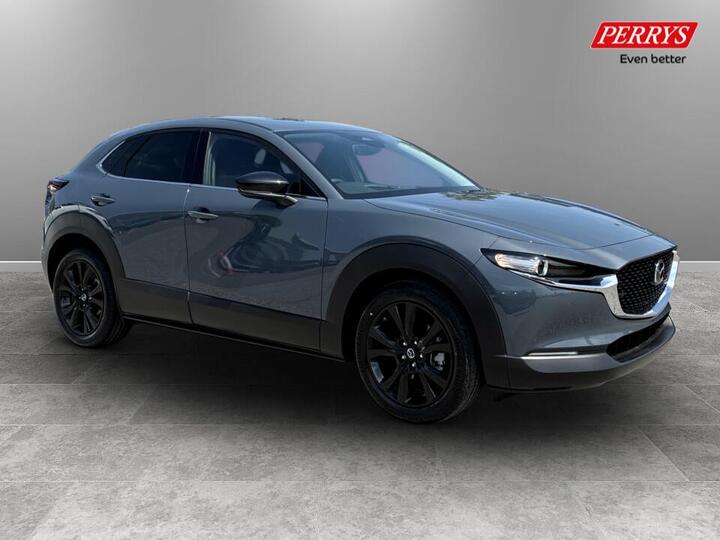 Mazda Cx-30 2.5 E-SKYACTIV G MHEV Homura Auto Euro 6 (s/s) 5dr