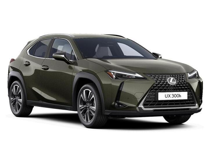 Lexus UX 2.0 300h Premium Plus E-CVT Euro 6 (s/s) 5dr