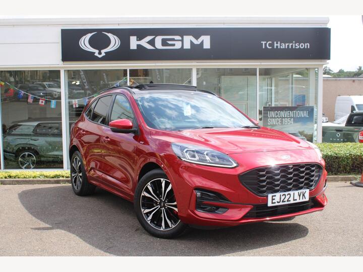 Ford KUGA 1.5 EcoBlue ST-Line X Euro 6 (s/s) 5dr