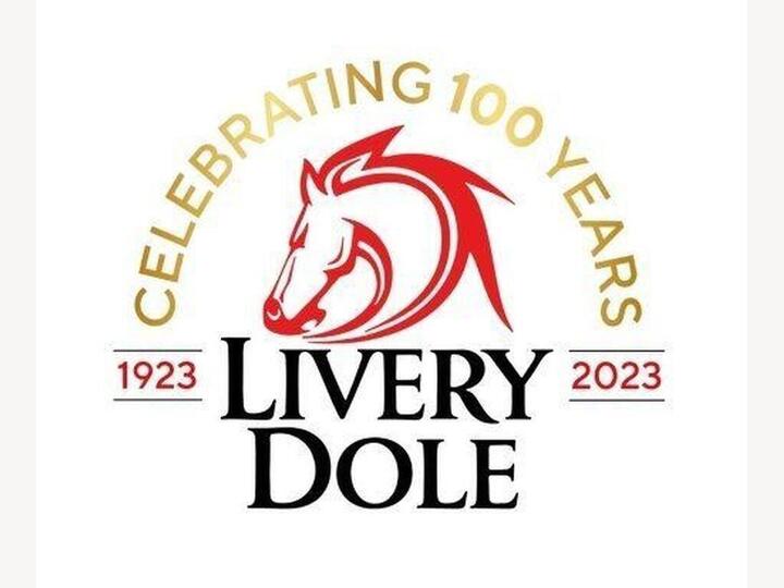 Subaru Crosstrek 2.0 I E-Boxer Limited Lineartronic 4WD Euro 6 (s/s) 5dr