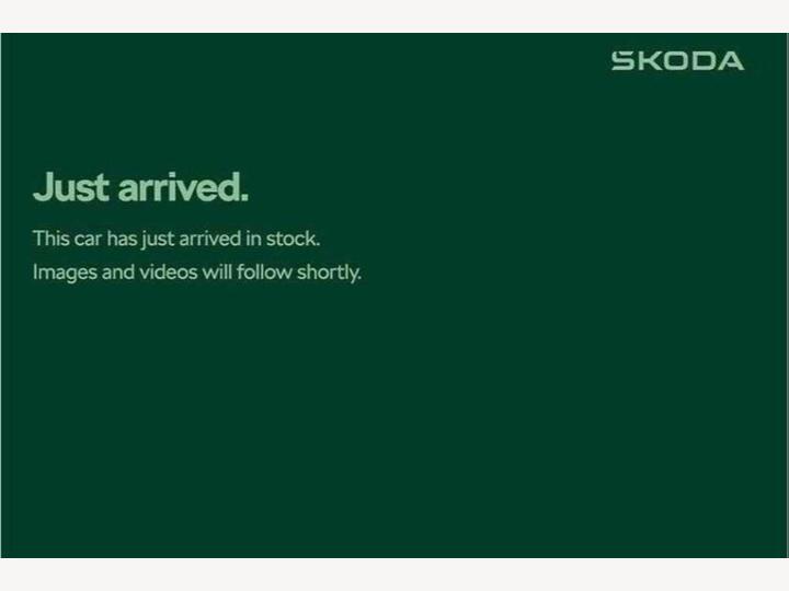 Skoda Karoq 2.0 TSI SportLine DSG 4WD Euro 6 (s/s) 5dr