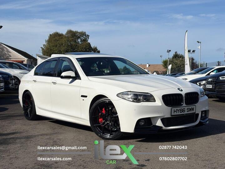 BMW 5 SERIES 3.0 530d M Sport Auto Euro 6 (s/s) 4dr