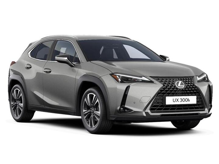 Lexus UX 2.0 300h Premium Plus E-CVT Euro 6 (s/s) 5dr
