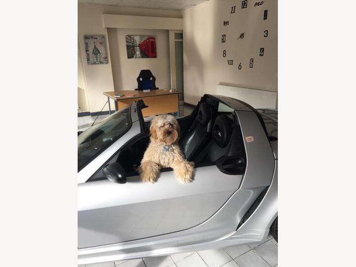 Volkswagen T-Roc 1.5 TSI EVO R-Line DSG Euro 6 (s/s) 5dr