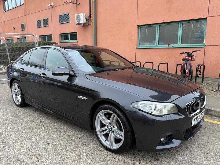 BMW 5 Series 3.0 530d M Sport Auto Euro 6 (s/s) 4dr