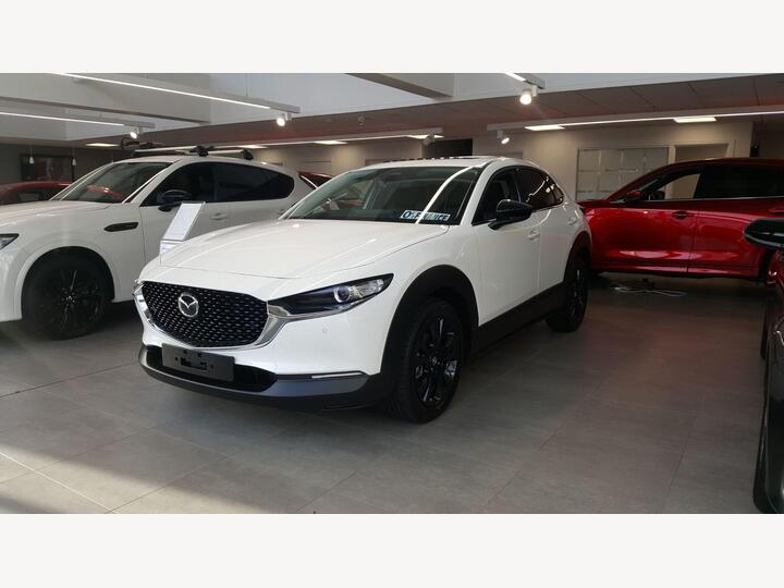 Mazda CX-30 2.0 E-SKYACTIV X MHEV Homura Auto Euro 6 (s/s) 5dr