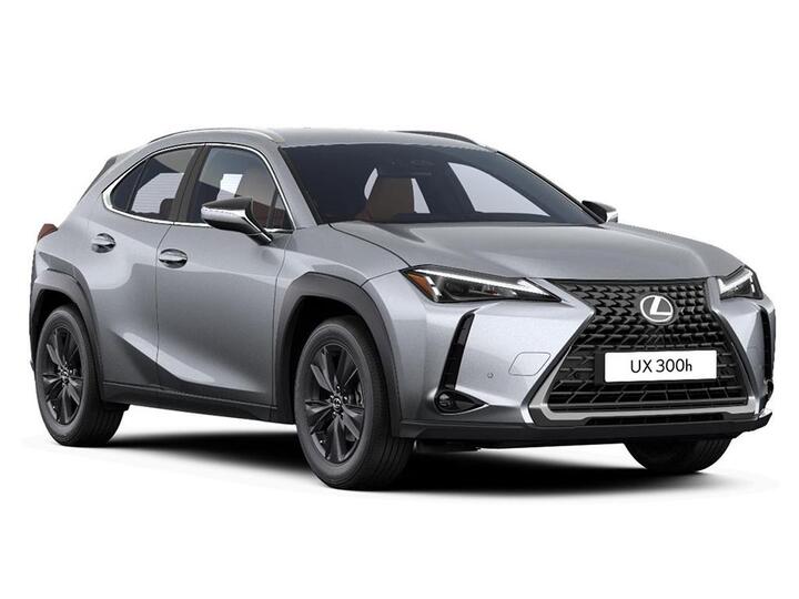 Lexus UX 2.0 300h Premium E-CVT Euro 6 (s/s) 5dr