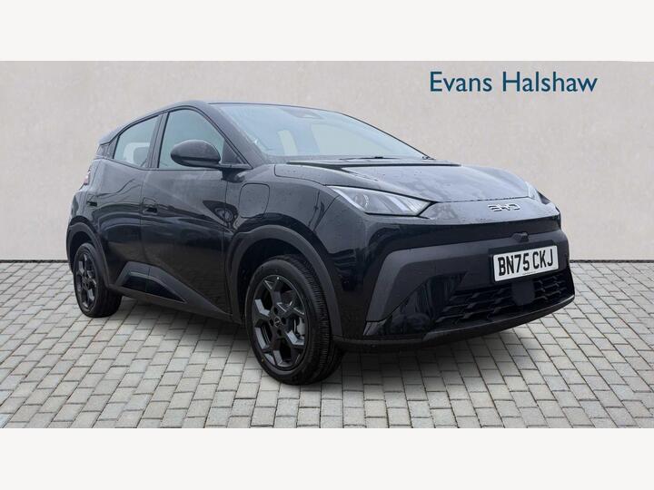 BYD Dolphin Surf Boost