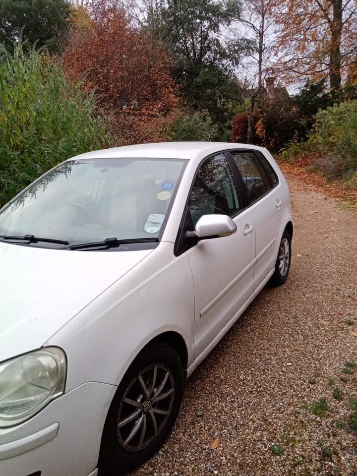 Cheap Volkswagen Polo - 1.4 TDI BlueMotion 2 5dr for sale in Guildford, Surrey