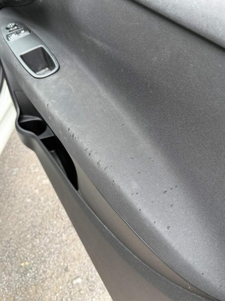 Fiat Punto Evo - 1.2 Active Euro 5 (s/s) 3dr - Image 12