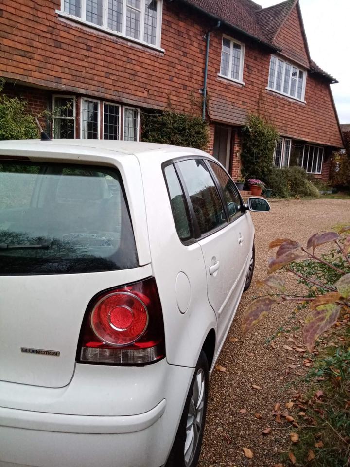 Volkswagen Polo - 1.4 TDI BlueMotion 2 5dr - Image 3