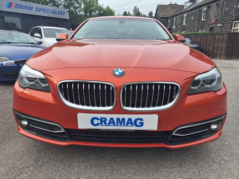 BMW 5 Series view 6