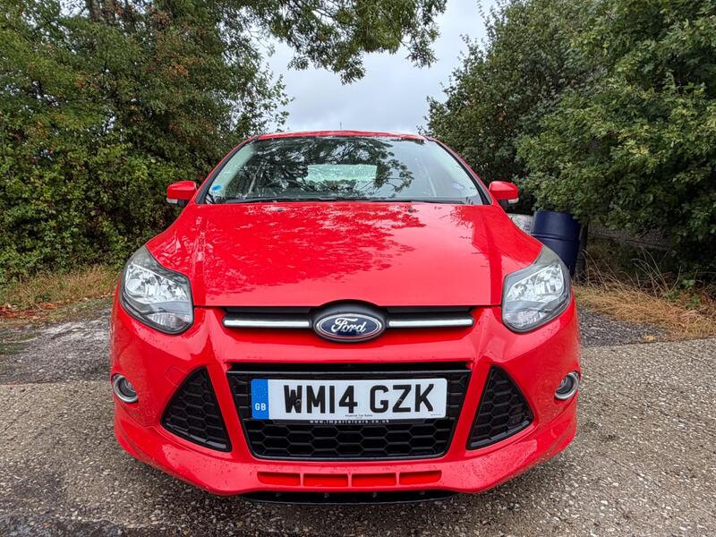 2014 Ford Focus — photo 3