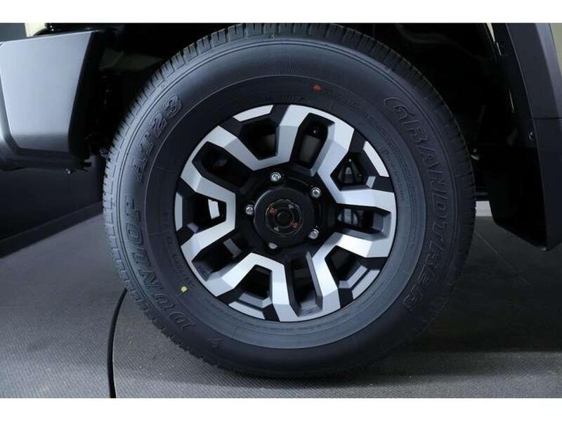 Toyota Land Cruiser view 5
