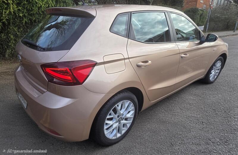 Seat Ibiza view 7