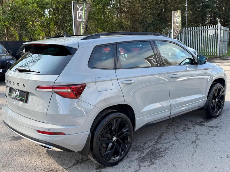 Skoda Karoq view 6