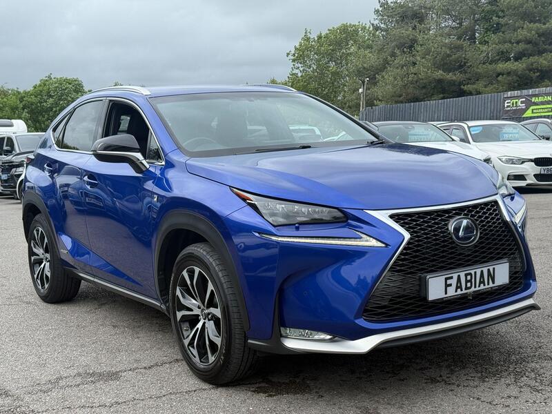 Lexus NX view 7
