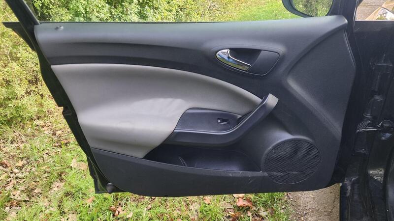 2013 SEAT Ibiza — photo 50