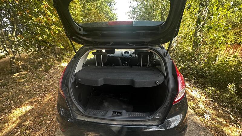 2015 Ford Fiesta — photo 8