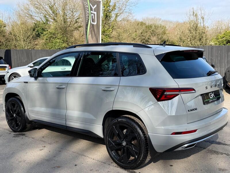 Skoda Karoq view 2