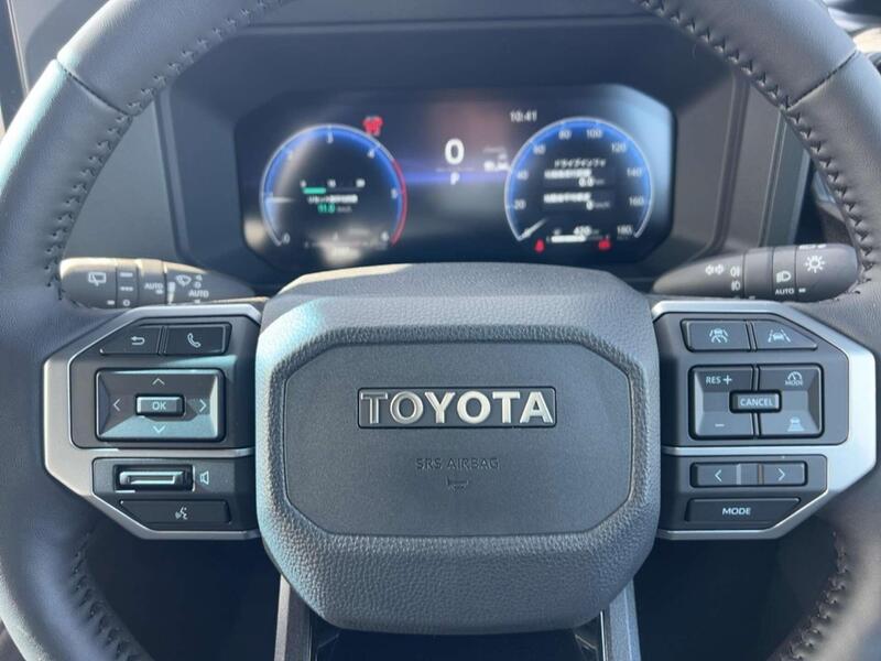 Toyota Land Cruiser view 3