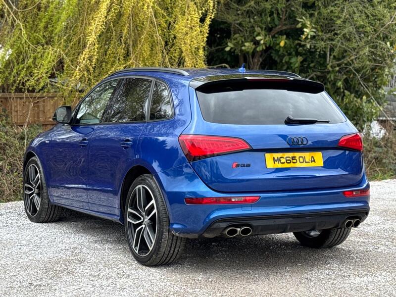 Audi Audi SQ5 view 7