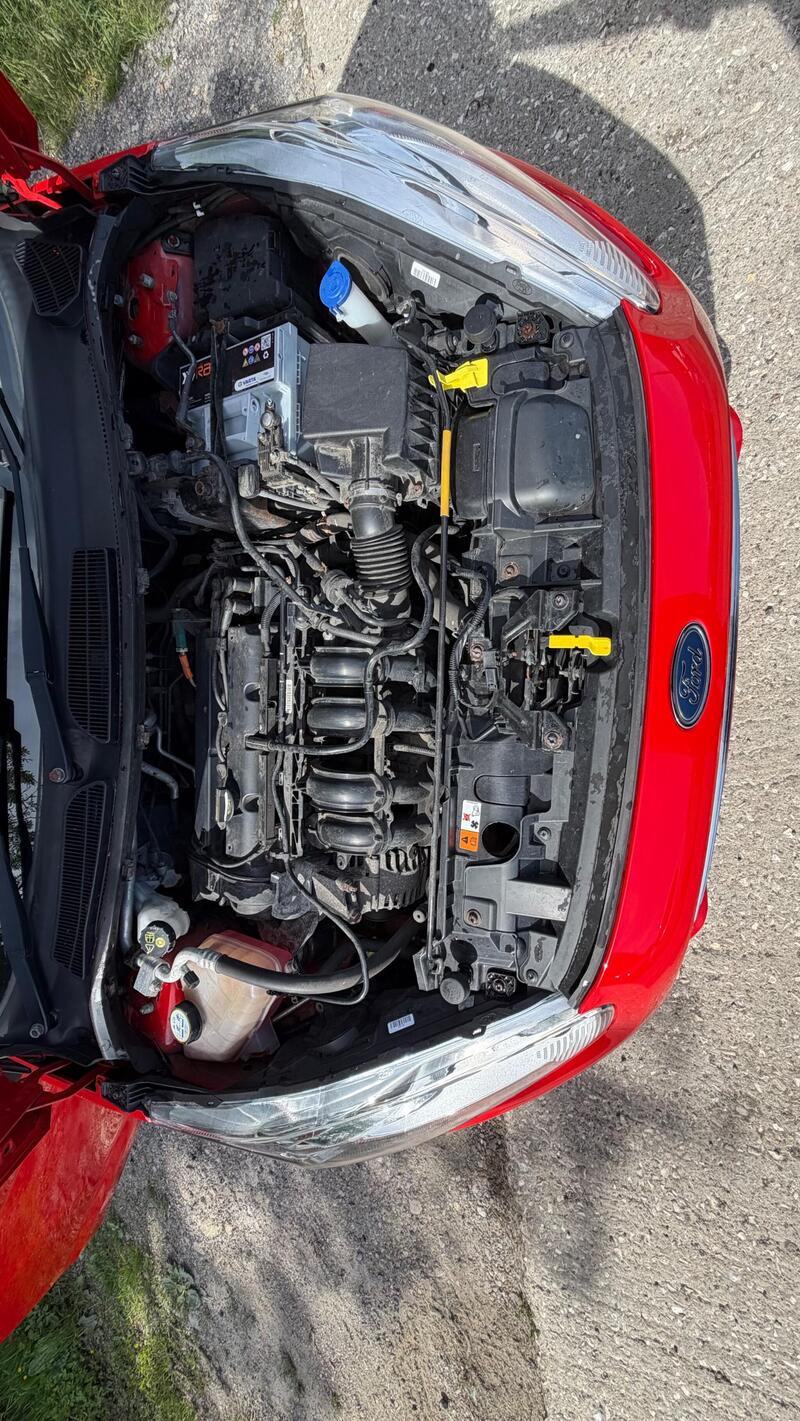 2014 Ford Fiesta — photo 14