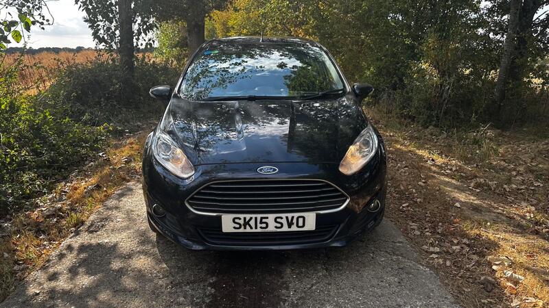 2015 Ford Fiesta — photo 2