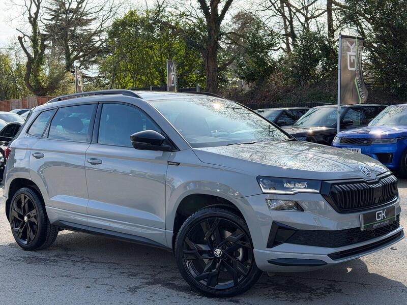 2024 Skoda Karoq in Grey for sale
