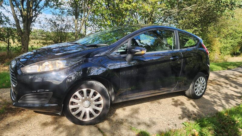 2014 Ford Fiesta — photo 5